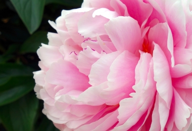 Pentecost Holiday Akadémia Hotel